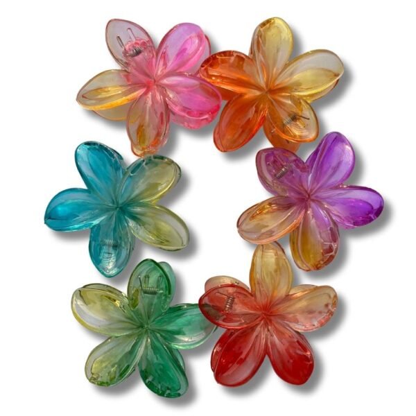 Hair claw Clips