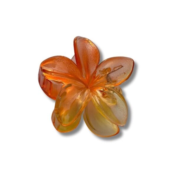 Hair claw Clips