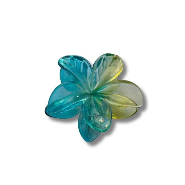Hair claw Clips