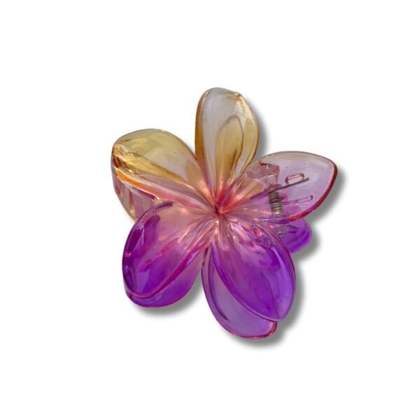 Hair claw Clips