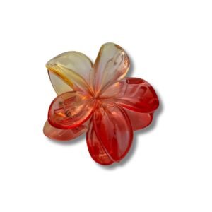 Hair claw Clips