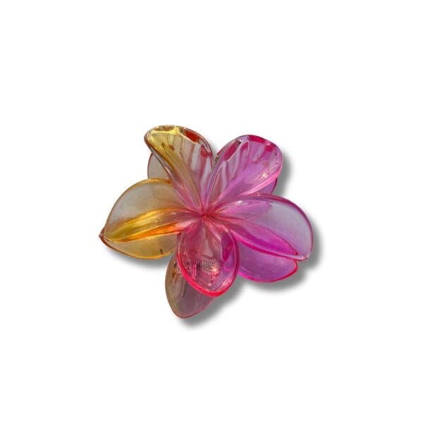 Hair claw Clips