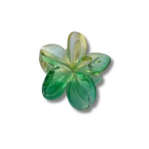 Hair claw Clips