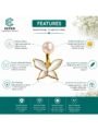 Gold Plated Butterfly Earrings | Cute Daily Wear Stylish Earrings Gold Plated Butterfly Earrings | Cute Daily Wear Stylish Earrings